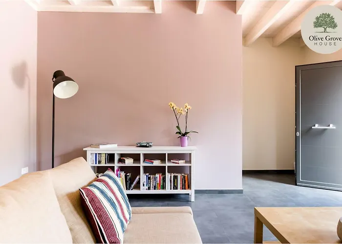 Hotell Olive Grove House