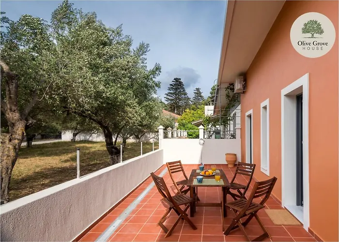 Olive Grove House Hotell